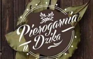 Pierogarnia u Dzika Gdańsk