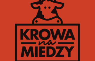 Krowa na Miedzy Zamość