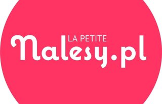 La Petite Nalesy Płock